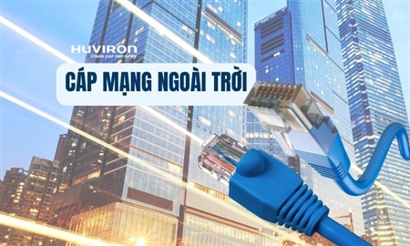 Lựa chọn cáp mạng ngoài trời cần lưu ý điều gì?